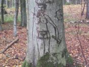 DSCF6126.jpg