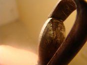 DSC07238.jpg