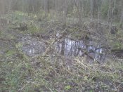 DSC03660.jpg