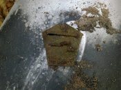 30102011781.jpg