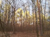20161128_083147.jpg