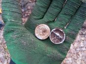 20161128_083437.jpg