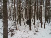 20161201_122105.jpg