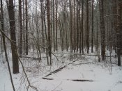 20161201_122126.jpg
