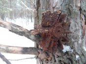 20161219_135846.jpg