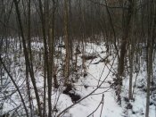 20161223_092901.jpg