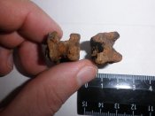 PA310312.JPG