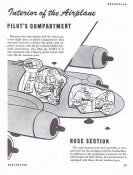 pilot.jpg