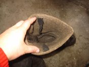 IMG_3931.jpg