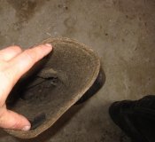 IMG_3932.jpg