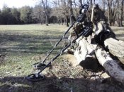 CAM00910.jpg
