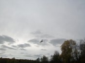 101_7979.jpg