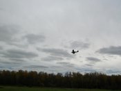 101_7980.jpg