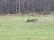 101_7993.jpg