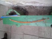 DSC02794.JPG