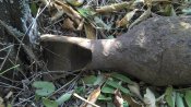 2011-10-31_11-30-38_70.jpg