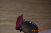 DSC_4547.JPG