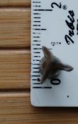 DSC01746.JPG