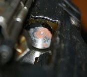 IMG_1484.jpg