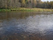 101_7896.jpg