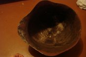 DSC02505.jpg