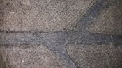 20170206_044328.jpg