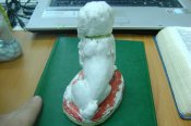 DSC02401.JPG