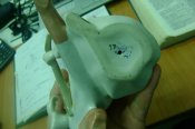 DSC02408.JPG