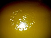IMG046.jpg