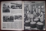 Подшивка журнала "Огонек" 1954 г.