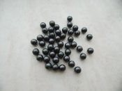 DSCN8756.JPG