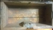 WP_20170206_052.jpg