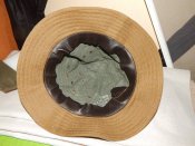 DSCN5175.JPG