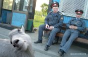 опл.JPG