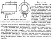 зубчатка.jpg