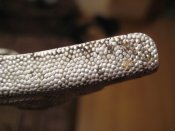 IMG_6938.JPG