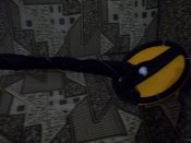 100_3558.JPG