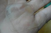 DSC02424.JPG