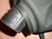 981921.jpg
