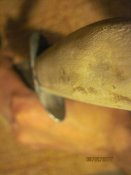 IMG_1434.JPG