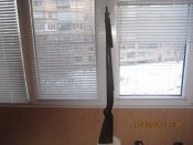 IMG_3023.JPG