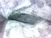 IMG_20170210_112300.jpg