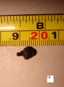 DSC07696.JPG