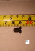 DSC07700.JPG