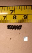DSC07702.JPG