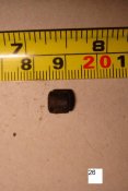 DSC07704.JPG