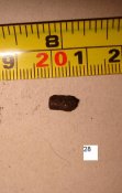 DSC07705.JPG