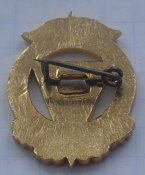 Знак Юный активист спорта