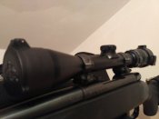 IMG_20170212_173944[1].jpg