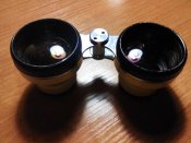 IMG_20170213_173001.jpg
